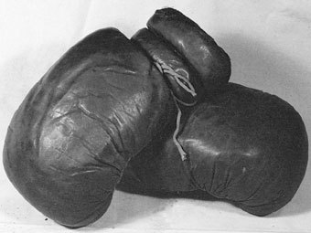 � ����� robbinssports.com