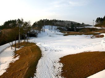 ������ ���������� ���� �� �������� � ���������. ���� ������������ Wonomatr � ����� wikipedia.org