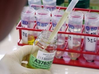 �������������� �����������. ���� &copy;AFP