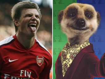 ������ �������, ���� &copy;AFP � ������� ��������� ����� � ����� comparethemeerkat.com