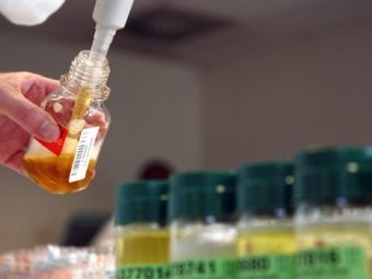 �������������� �����������. ���� &copy;AFP