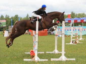 ����� ������� �� ������� �������. ���� � ����� ruhorses.ru