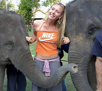 ����� �������� � ��������. ���� � ������������ ����� �����������